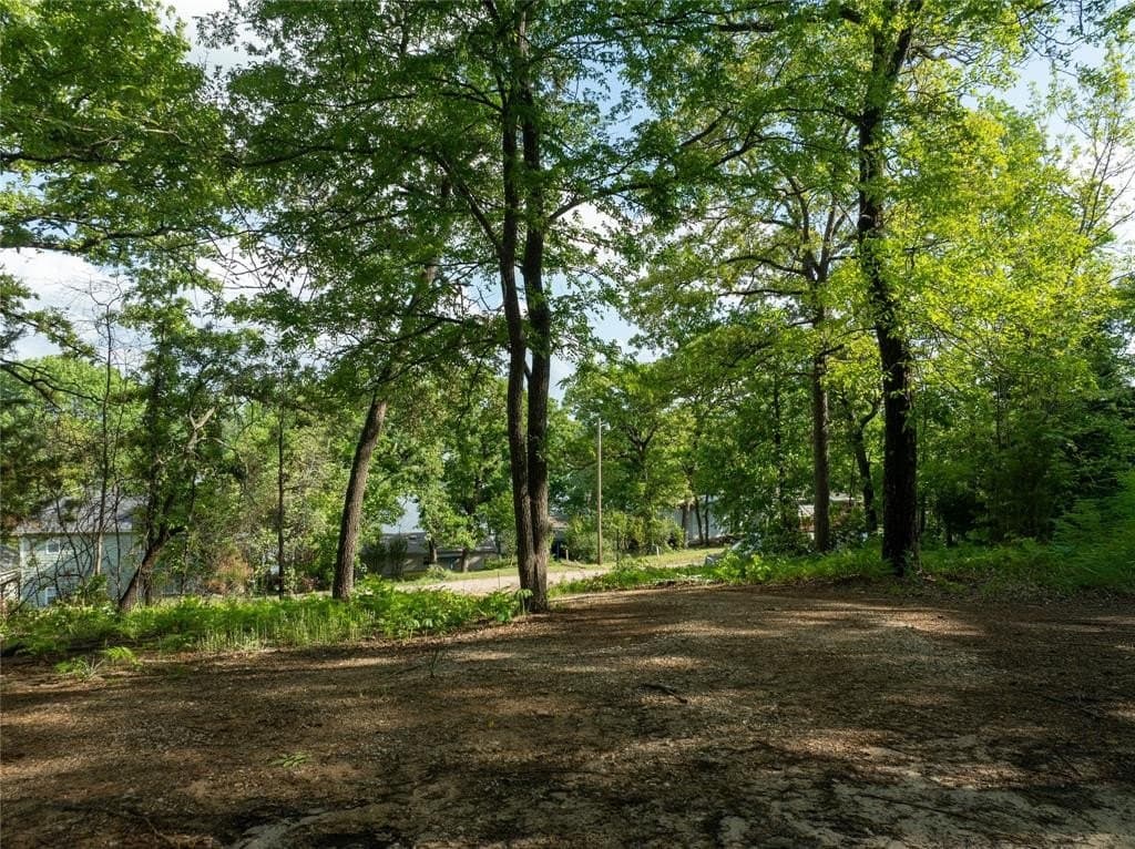 0.35 acres in Van Zandt County gallery image 2