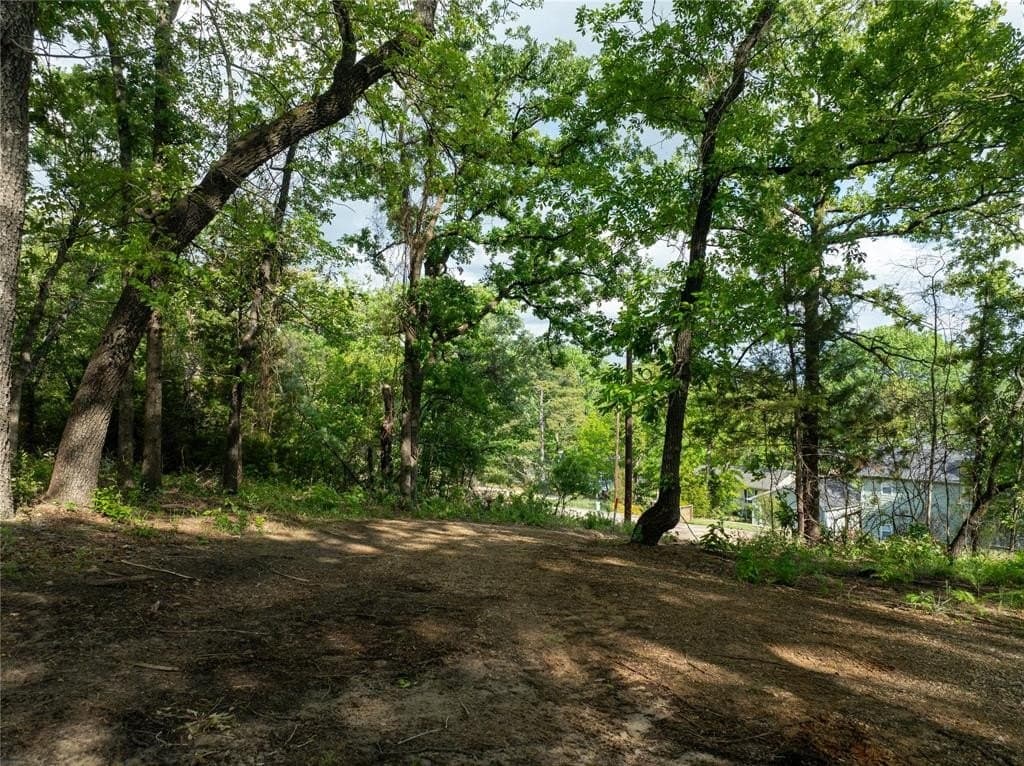 0.35 acres in Van Zandt County gallery image 4