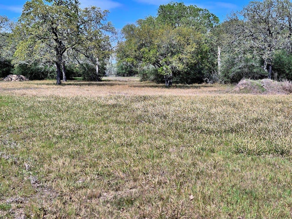 11.39 acres in Colorado County - photo 23