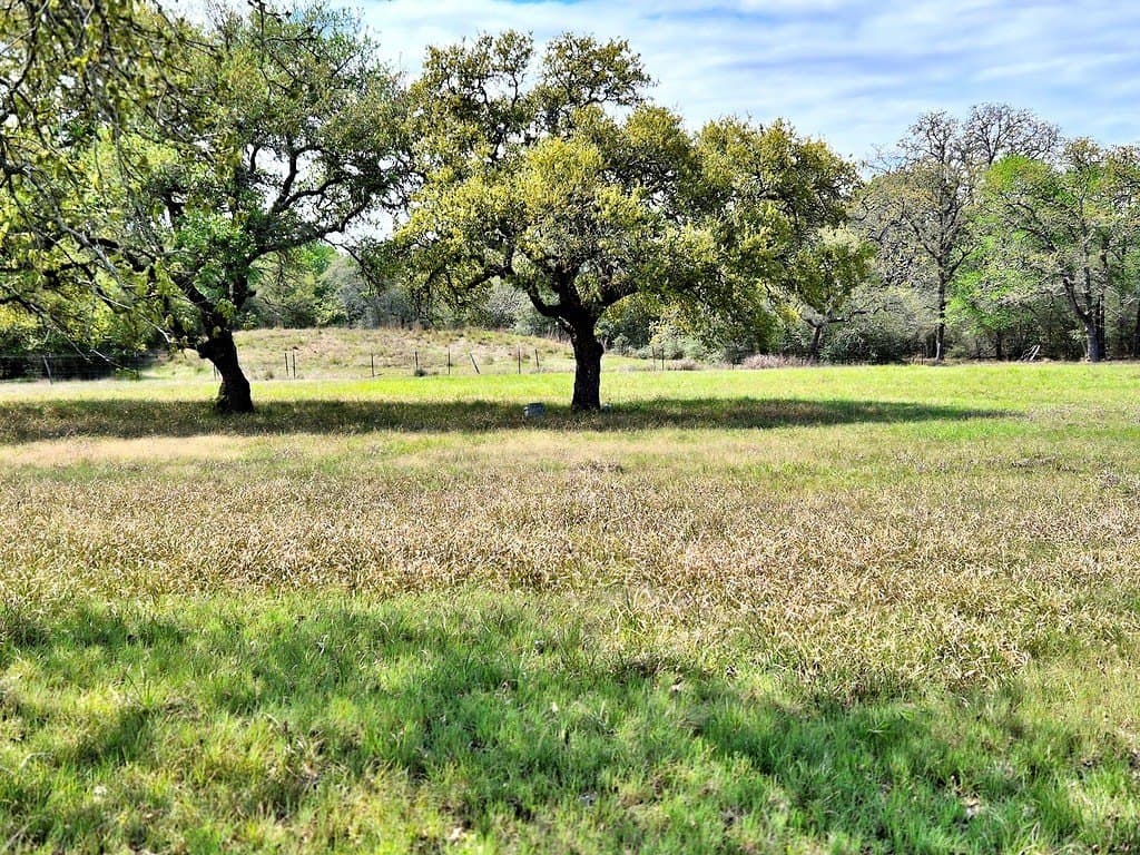 11.39 acres in Colorado County - photo 22