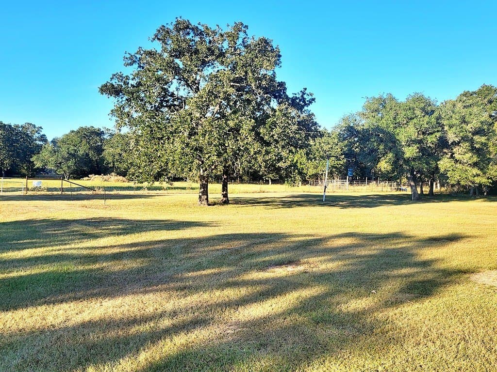 11.39 acres in Colorado County - photo 14