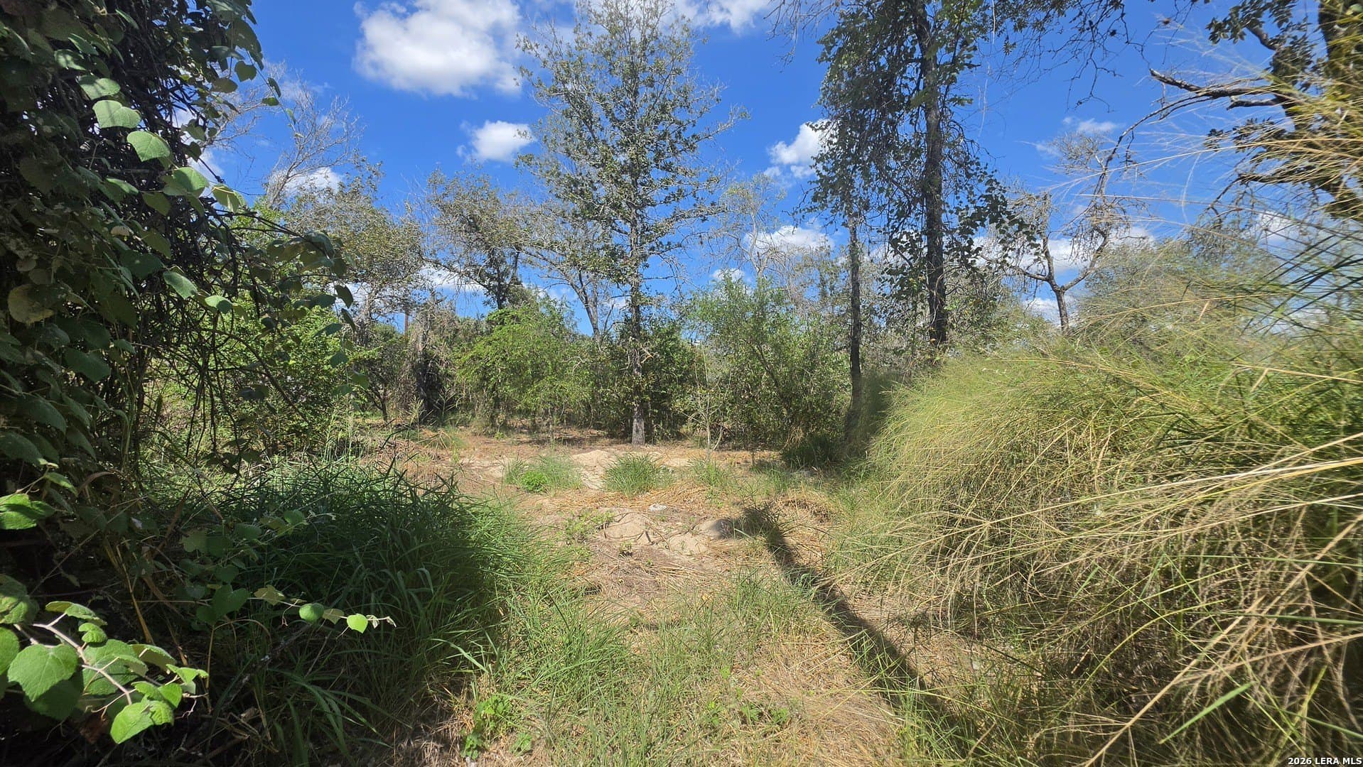 0.41 acres in Bexar County - photo 2