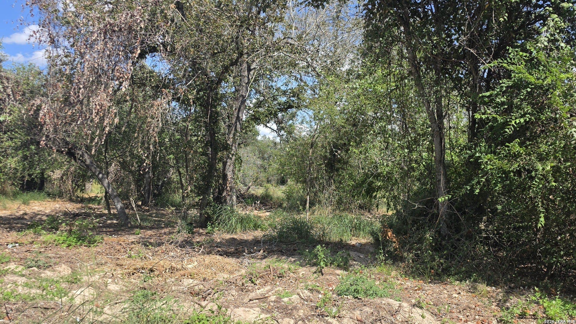 0.41 acres in Bexar County - photo 4