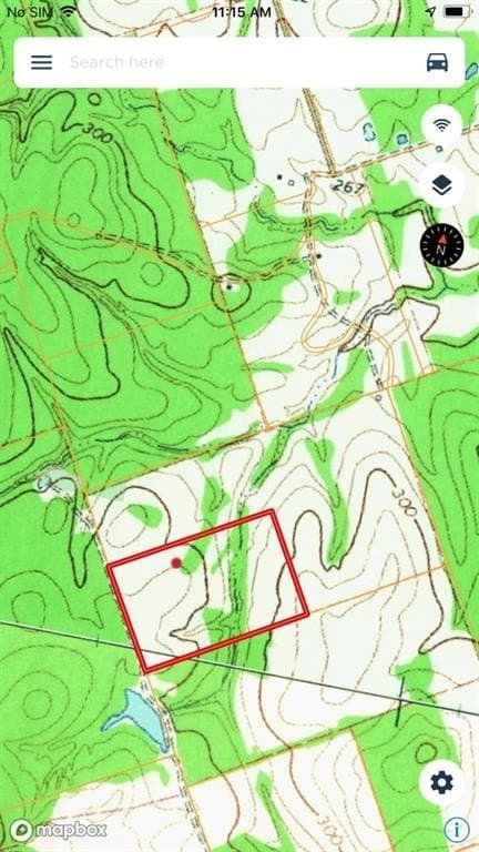 25 acres in Leon County gallery image 3