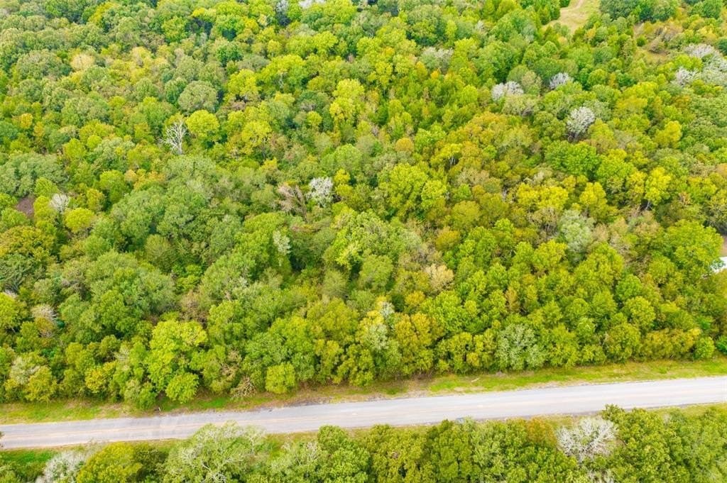 25 acres in Leon County featured view