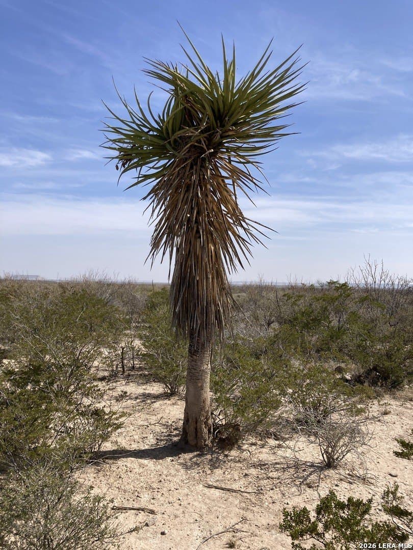 640 acres in Pecos County - photo 13