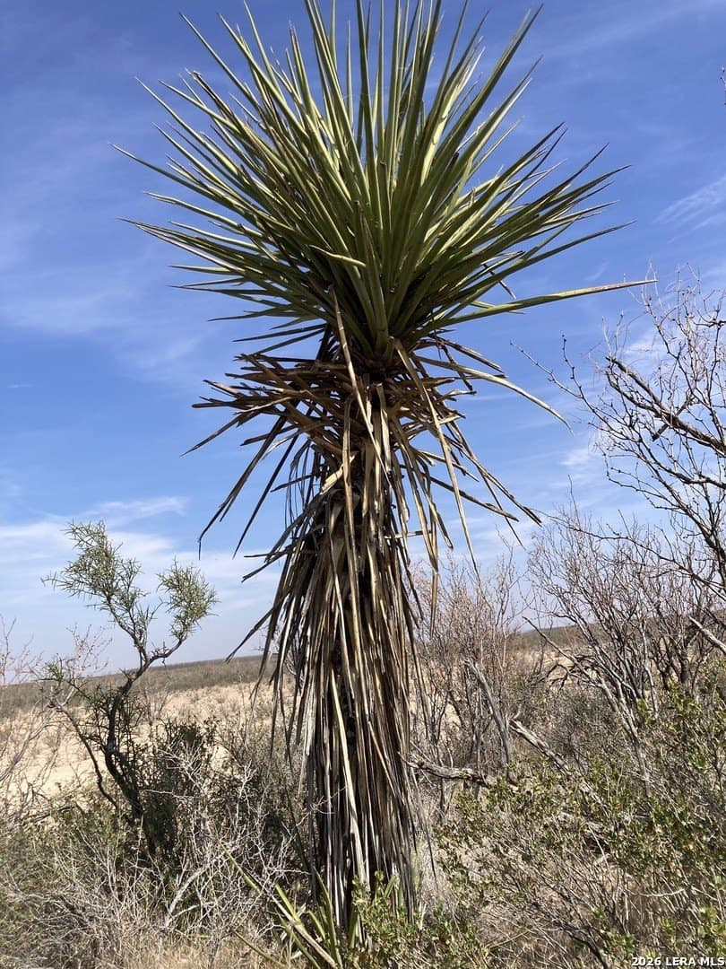 640 acres in Pecos County - photo 12