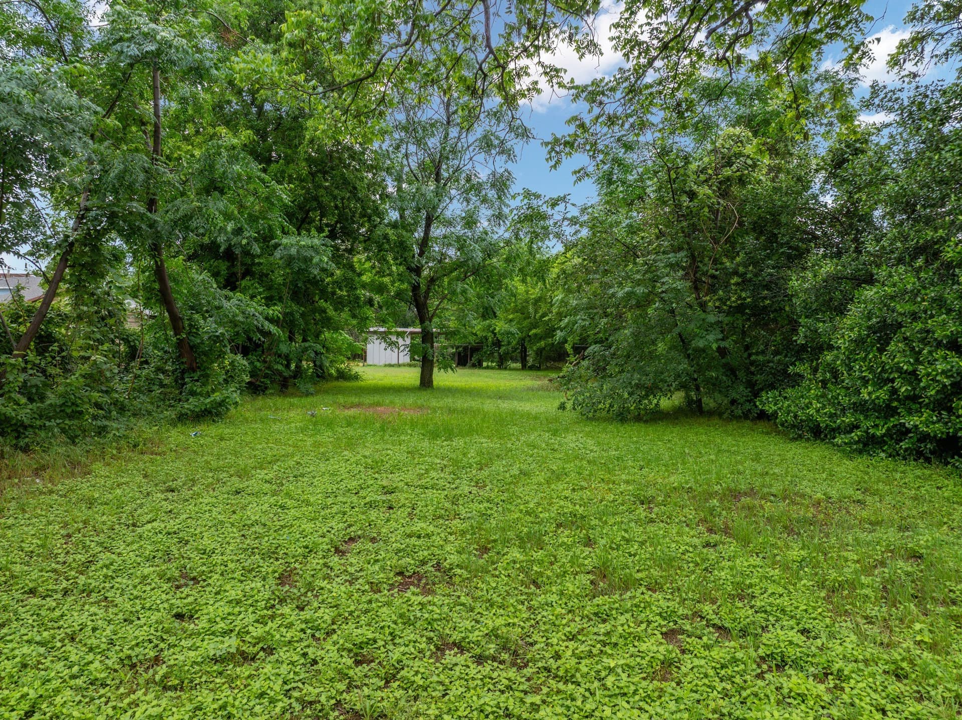0.17 acres in McLennan County gallery image 4
