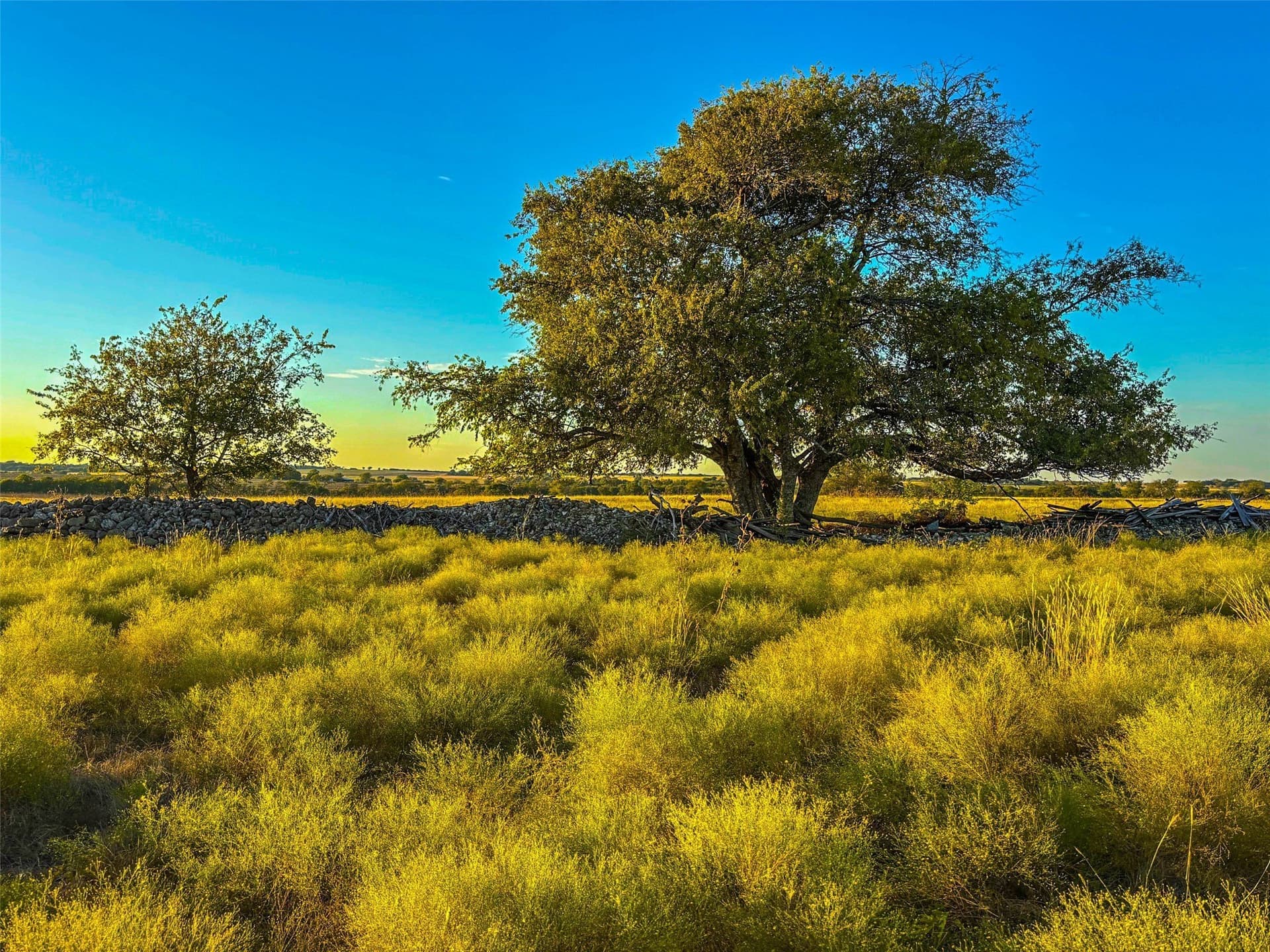 148 acres in Coryell County - photo 40