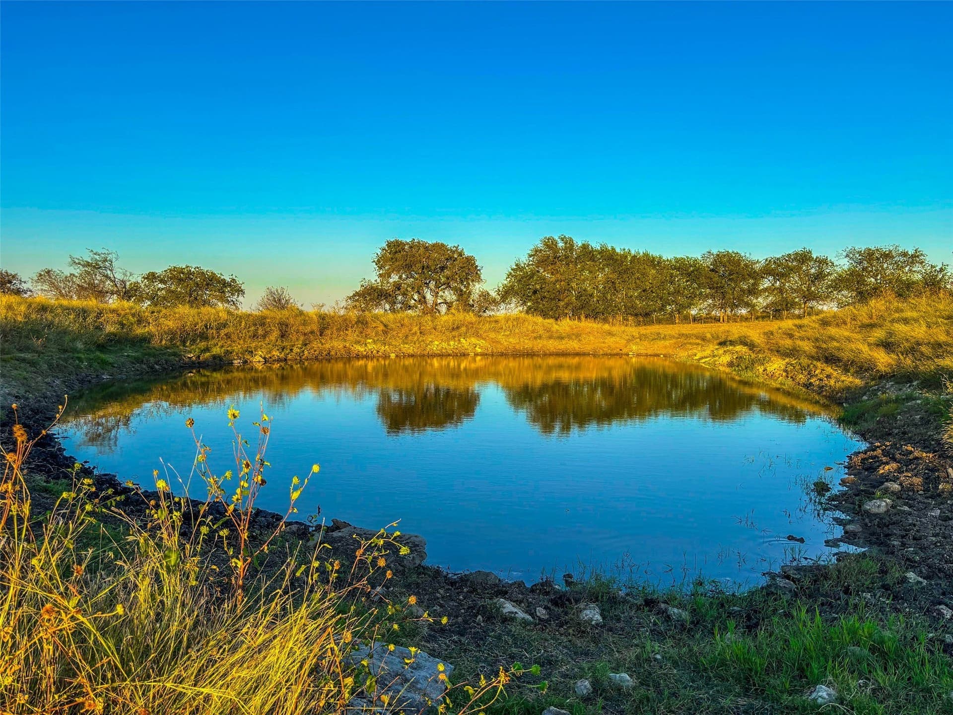 148 acres in Coryell County - photo 5
