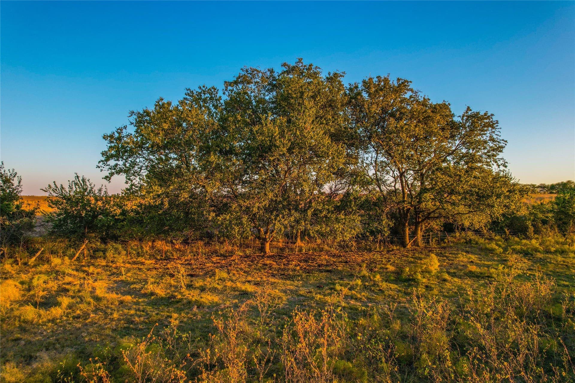 148 acres in Coryell County - photo 18