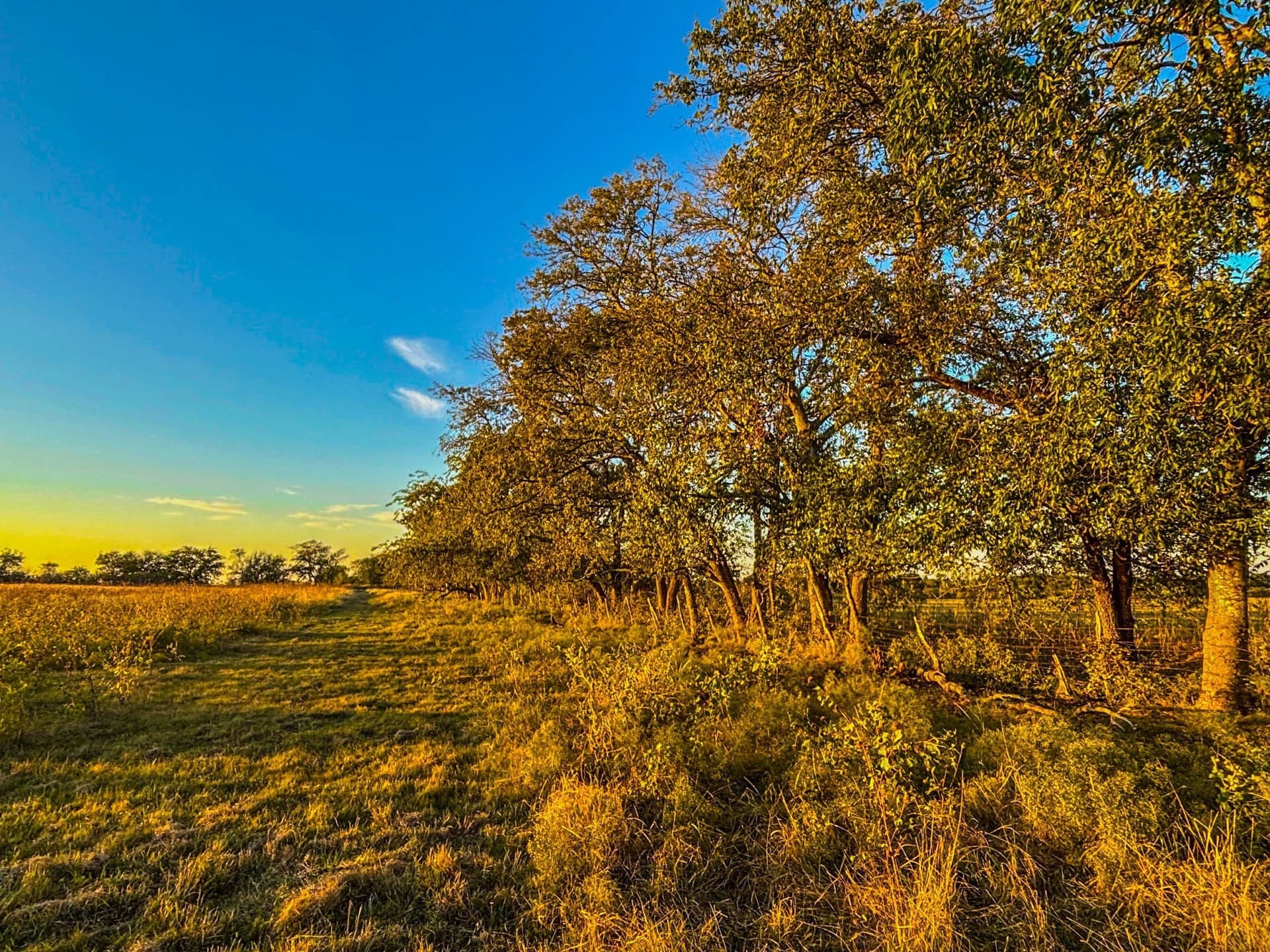 148 acres in Coryell County - photo 38