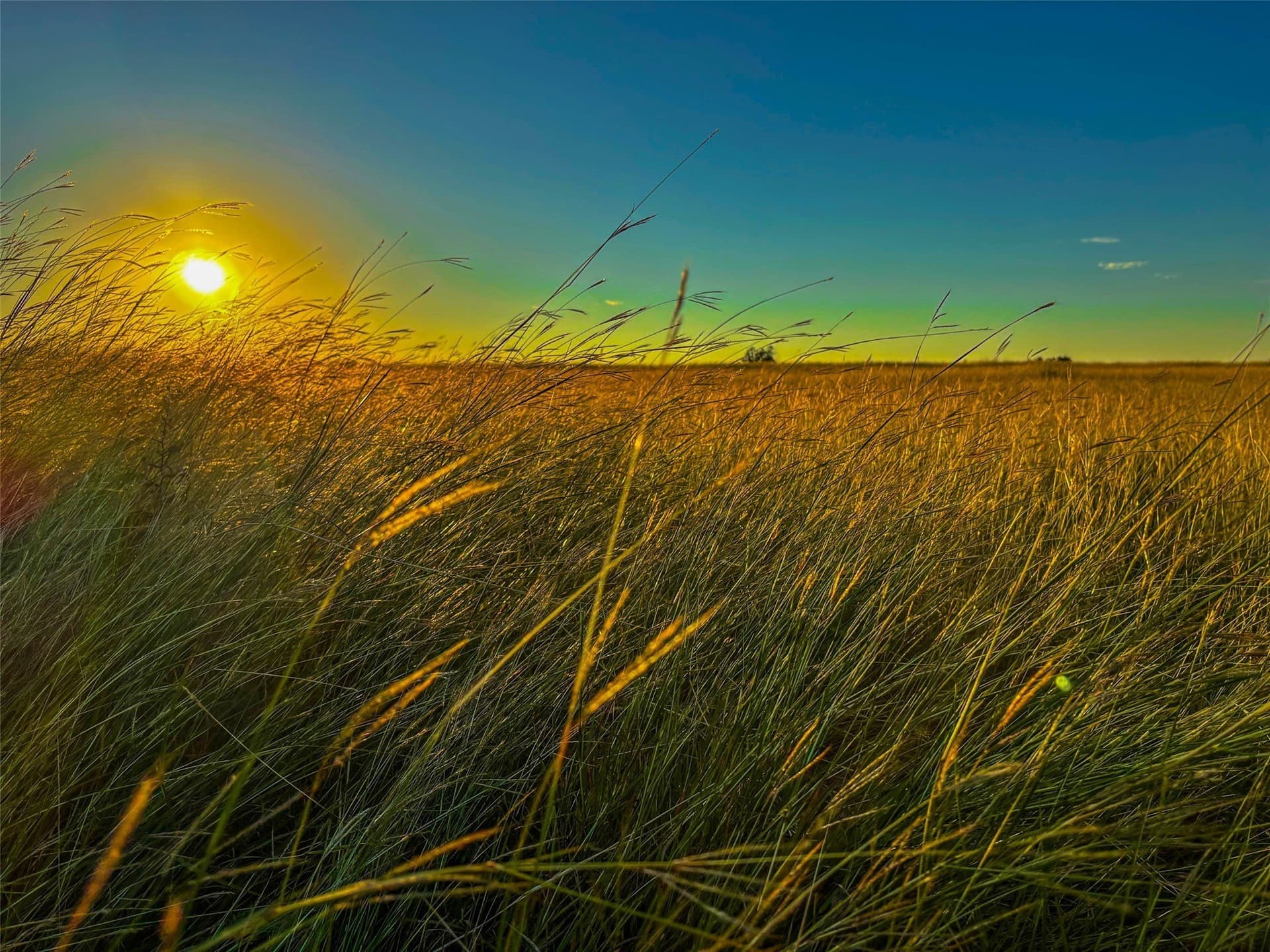 148 acres in Coryell County - photo 39