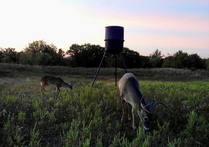 54.4 acres in Comanche County featured view