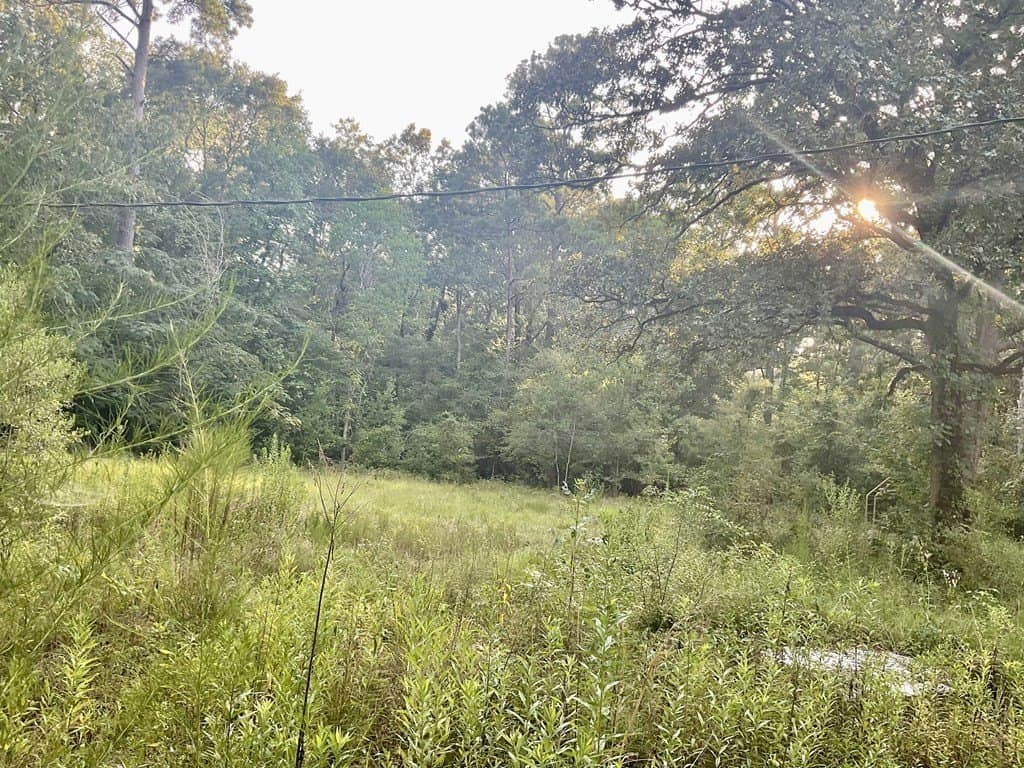 2.15 acres in Texas County gallery image 3