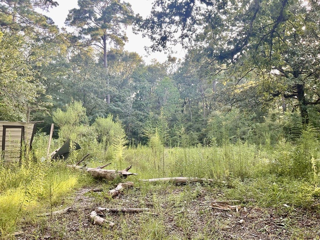 2.15 acres in Texas County - photo 7