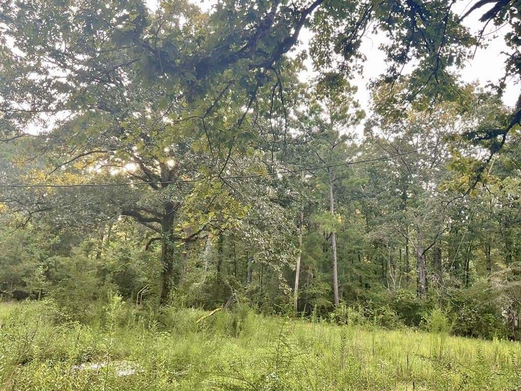 2.15 acres in Texas County - photo 10