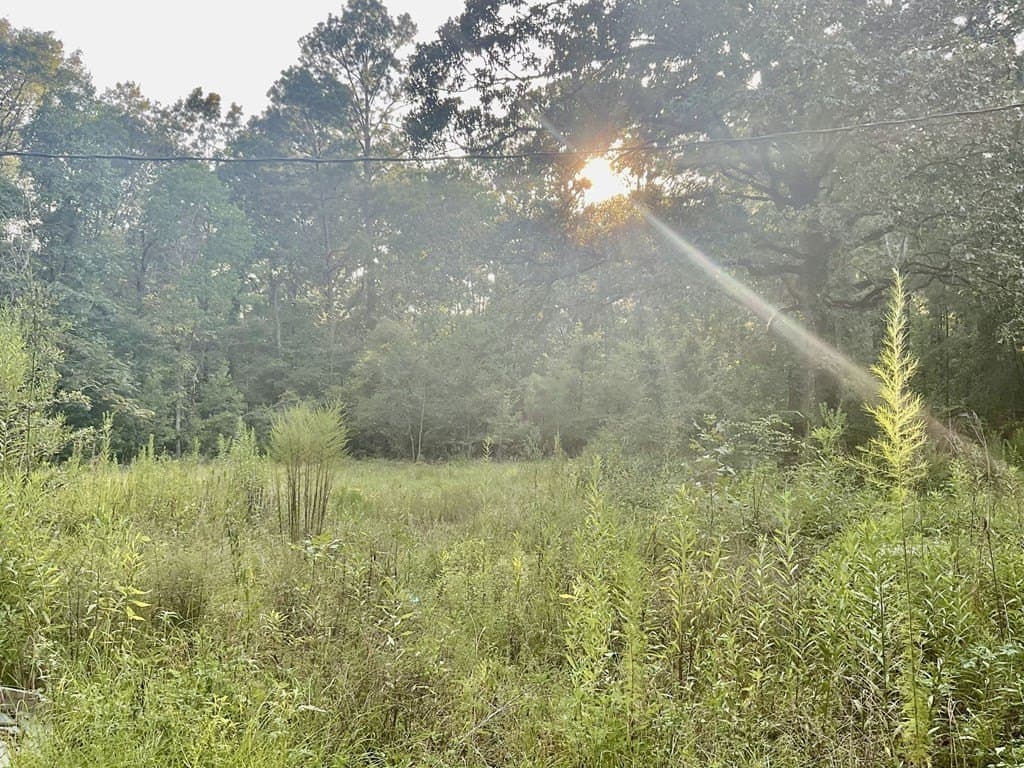 2.15 acres in Texas County gallery image 4
