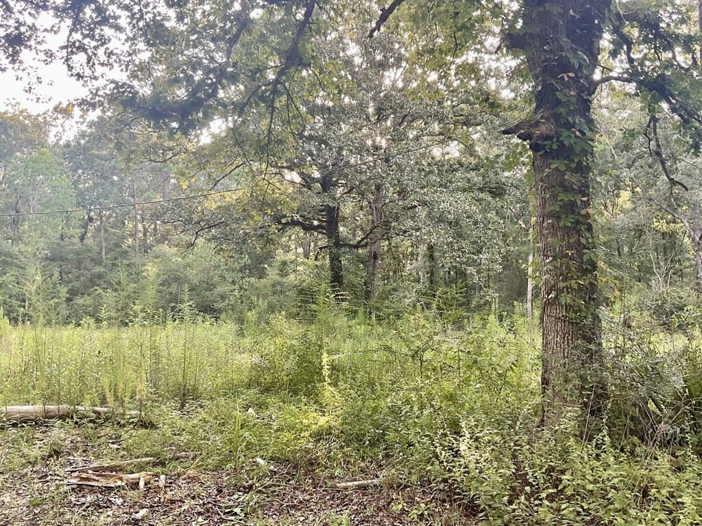 2.15 acres in Texas County featured view