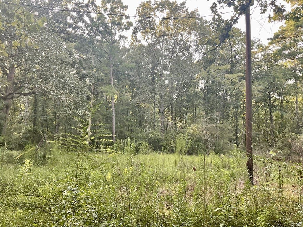2.15 acres in Texas County gallery image 2