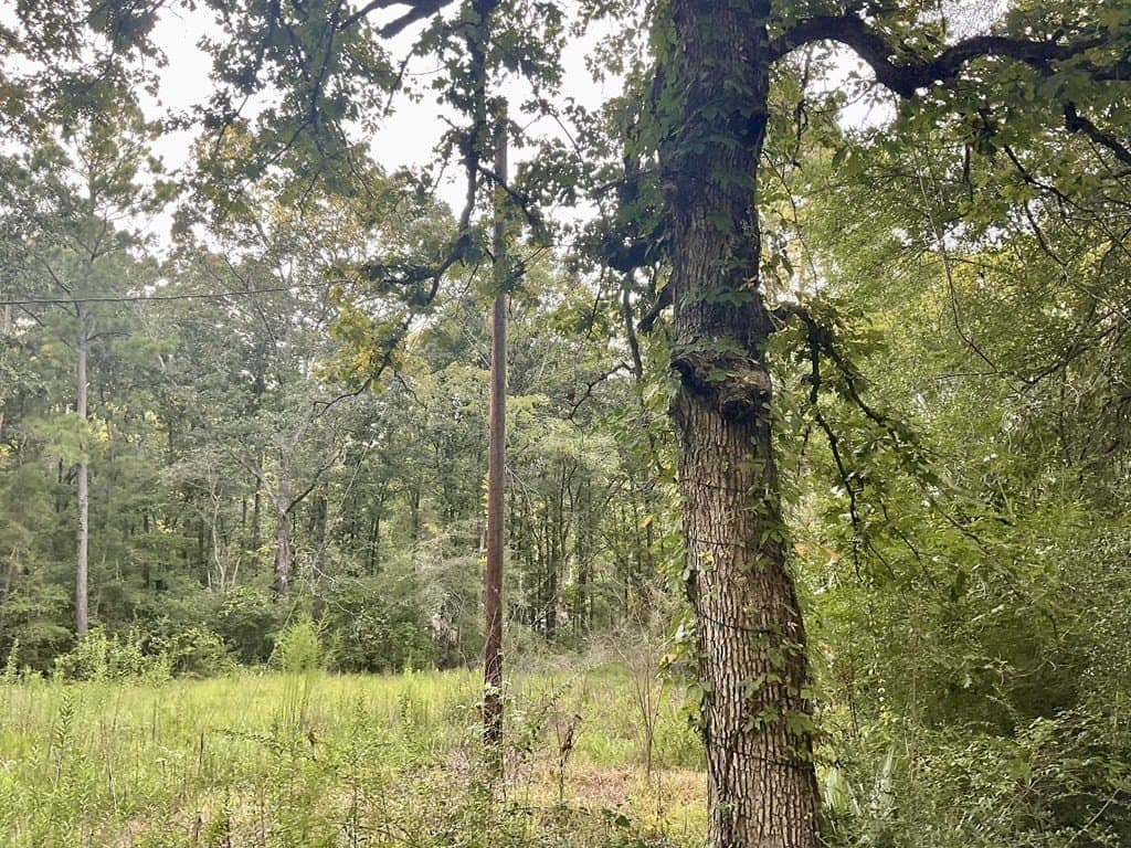 2.15 acres in Texas County - photo 11