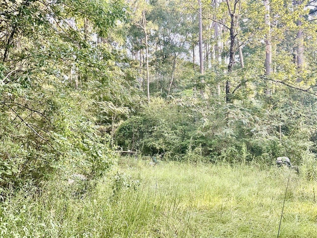 2.15 acres in Texas County - photo 6