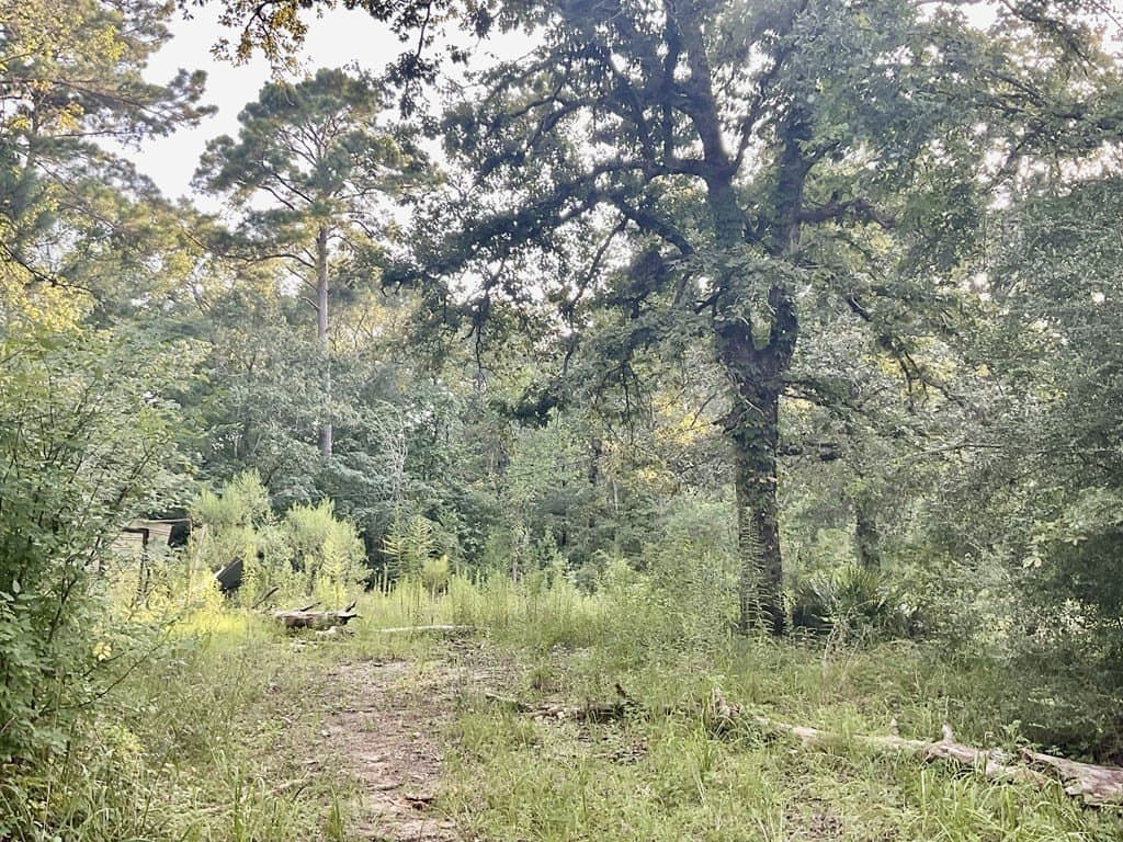 2.15 acres in Texas County - photo 8