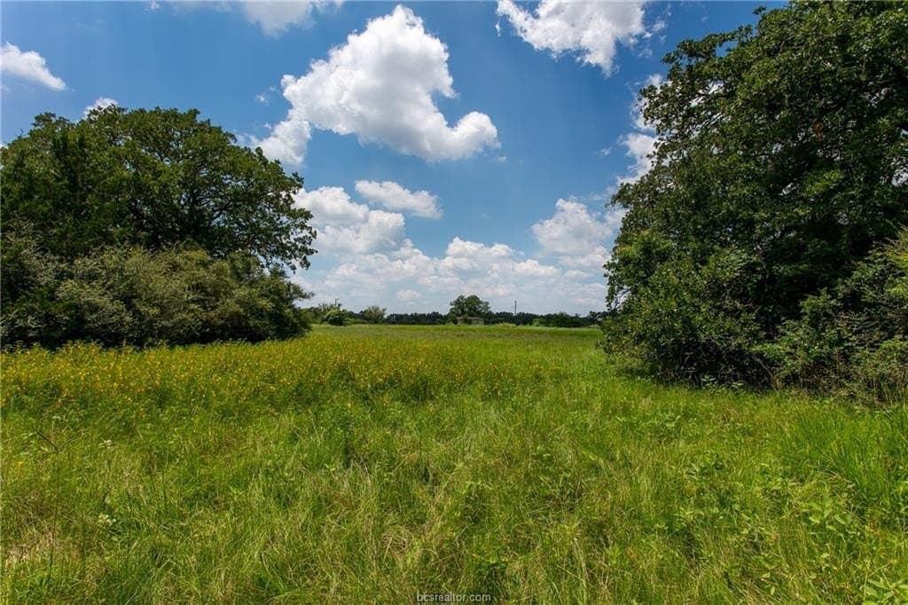 78.85 acres in Brazos County - photo 17
