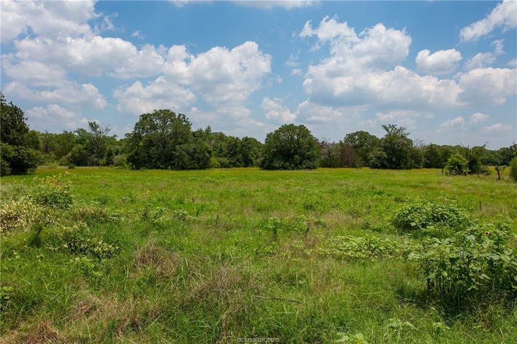 78.85 acres in Brazos County - photo 13