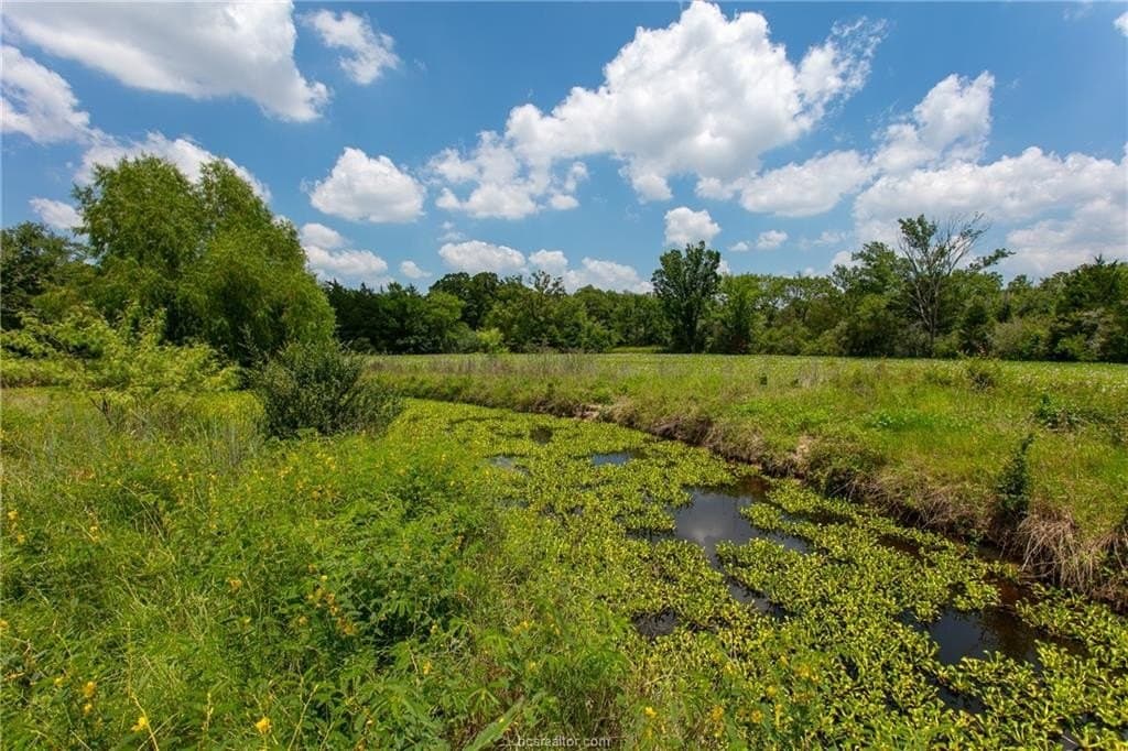 78.85 acres in Brazos County - photo 15