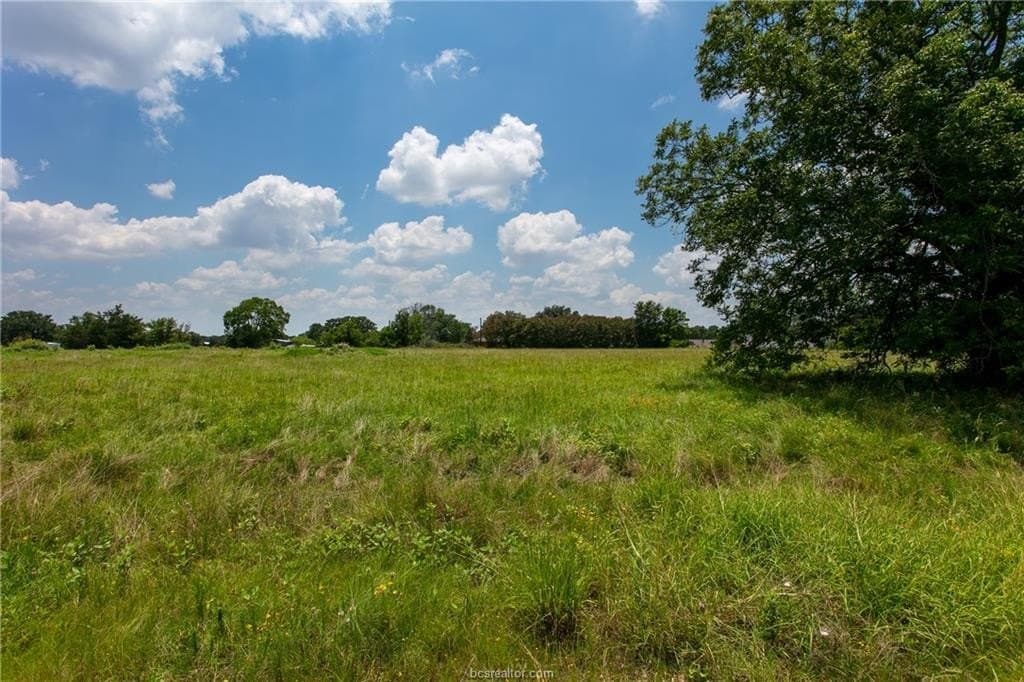 78.85 acres in Brazos County - photo 9