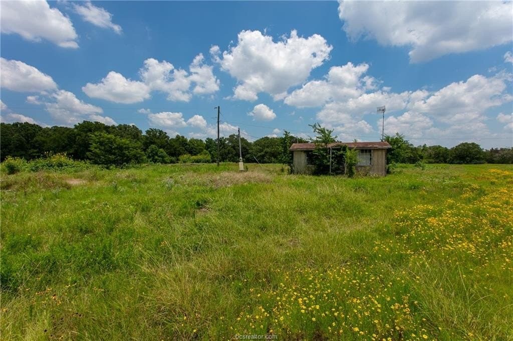 78.85 acres in Brazos County - photo 11