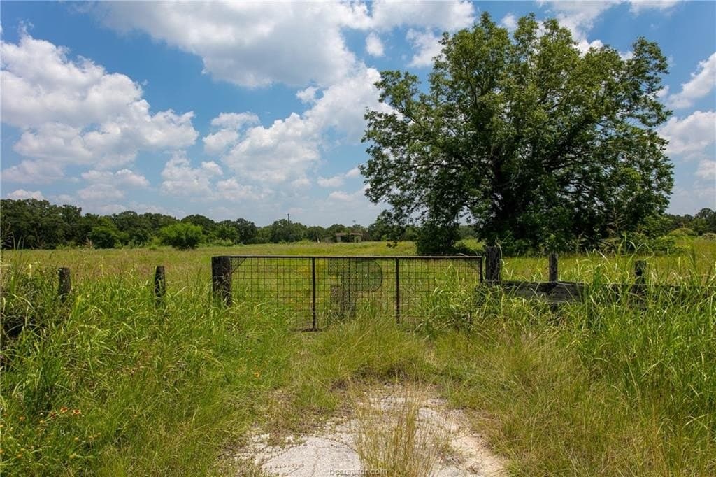 78.85 acres in Brazos County - photo 6