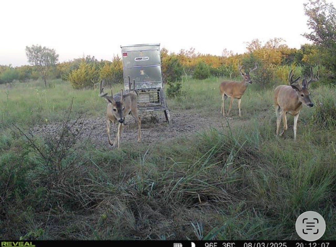 312 acres in Coryell County - photo 30