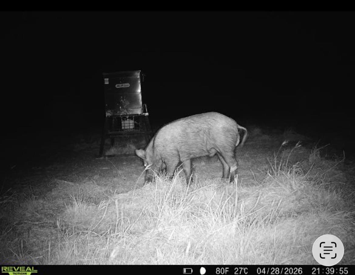 312 acres in Coryell County - photo 28
