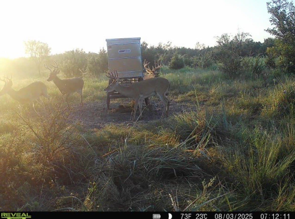 312 acres in Coryell County - photo 29