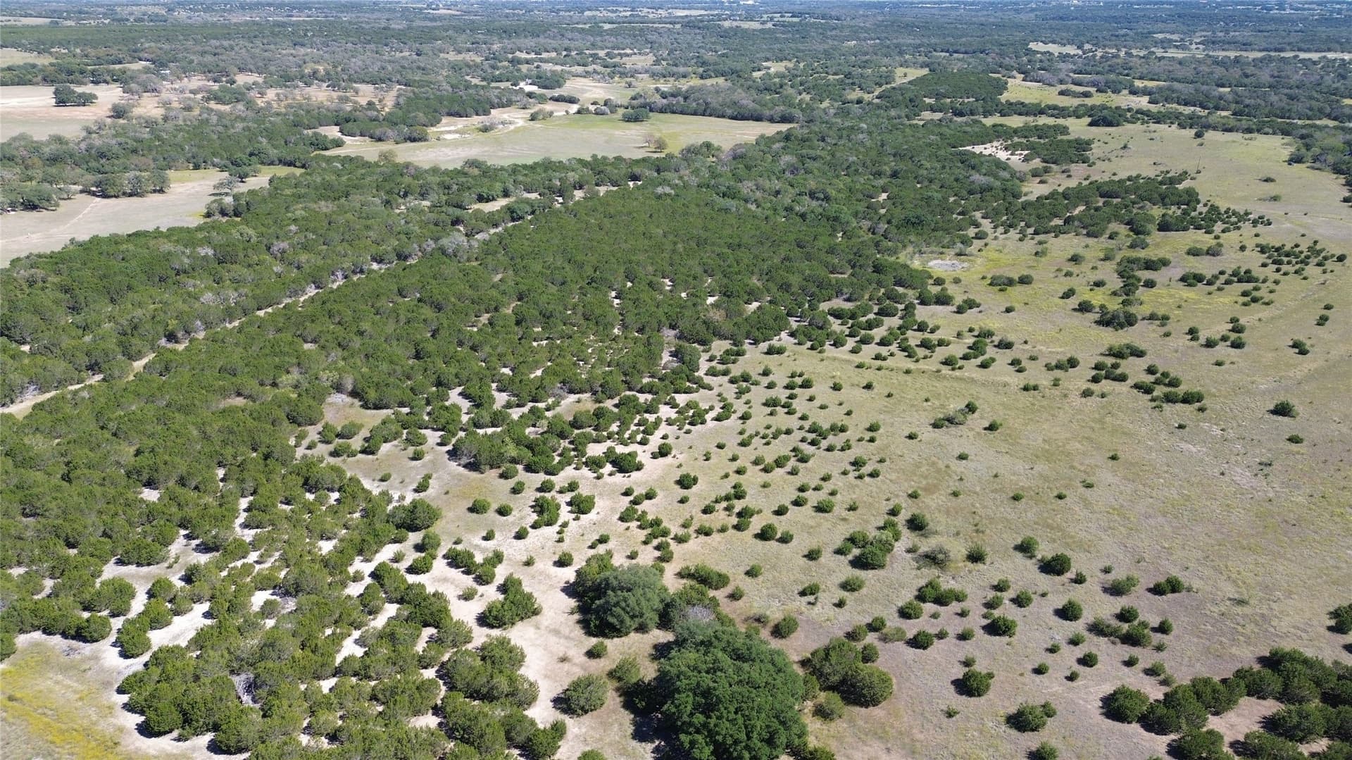 312 acres in Coryell County - photo 14