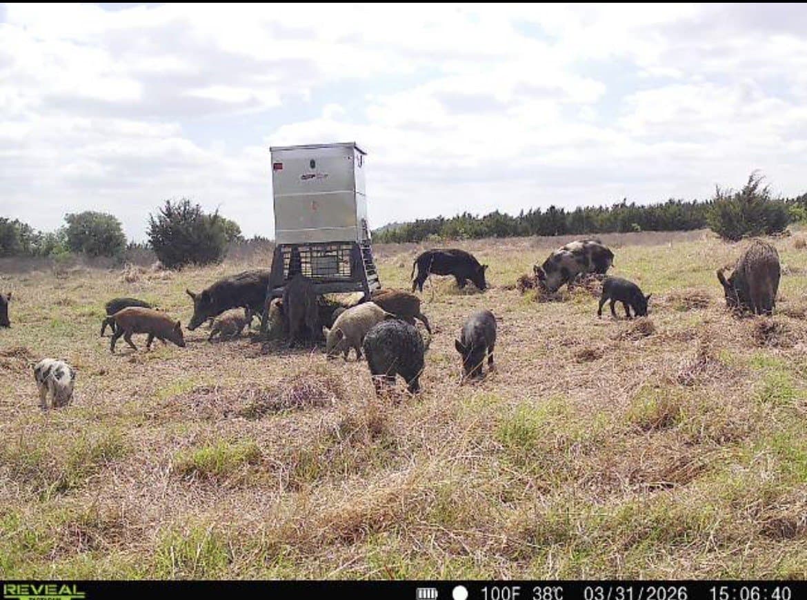 312 acres in Coryell County - photo 32