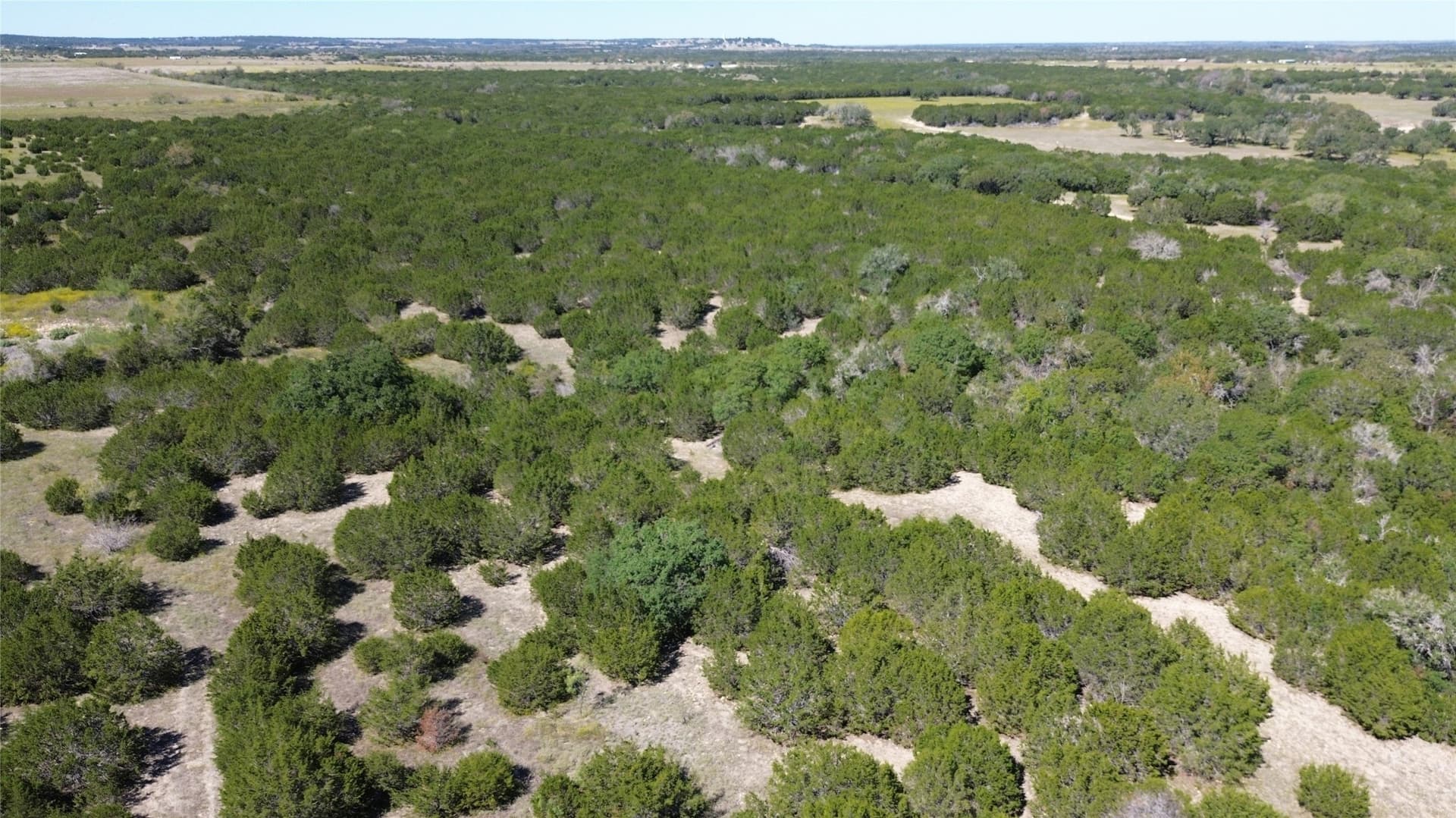 312 acres in Coryell County featured view