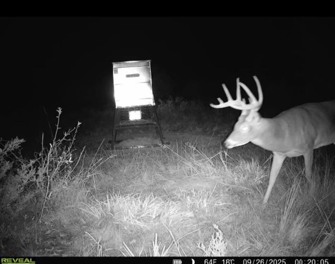 312 acres in Coryell County - photo 31