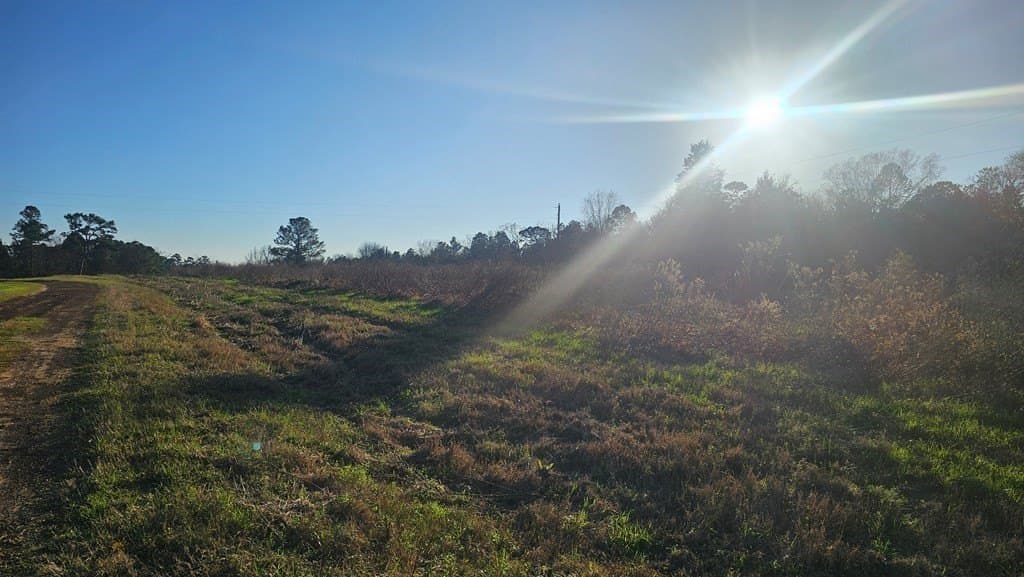 16.39 acres in Texas County - photo 6