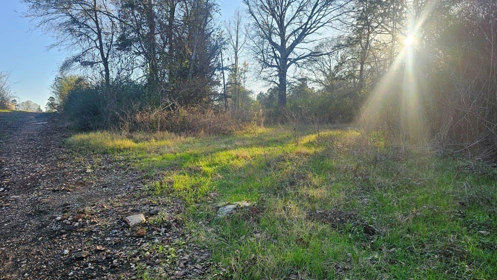 16.39 acres in Texas County - photo 12