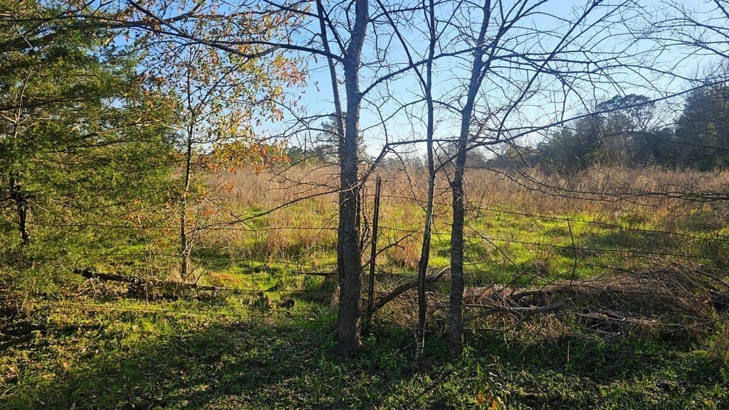 16.39 acres in Texas County - photo 9