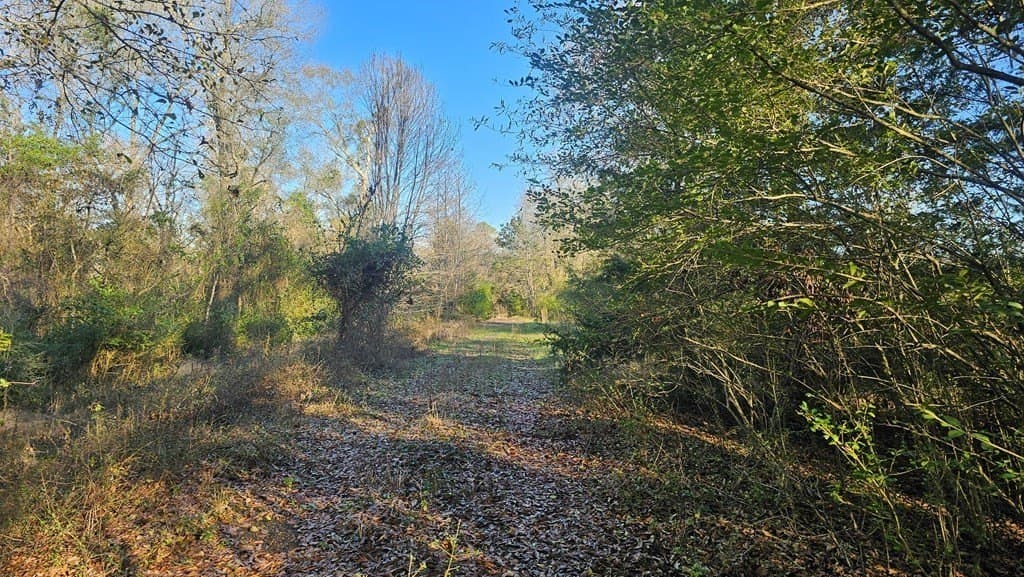 16.39 acres in Texas County - photo 8