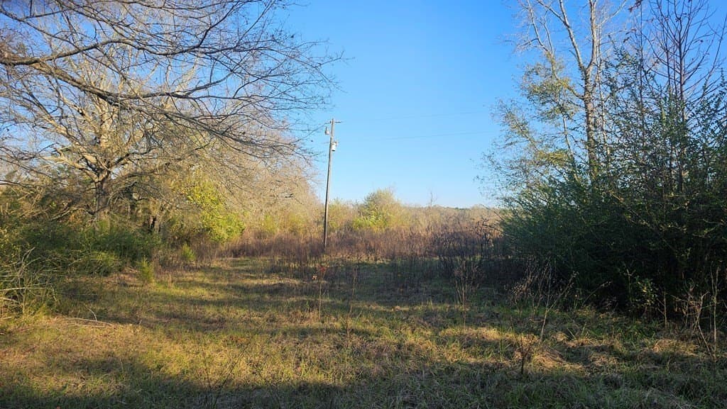 16.39 acres in Texas County - photo 10