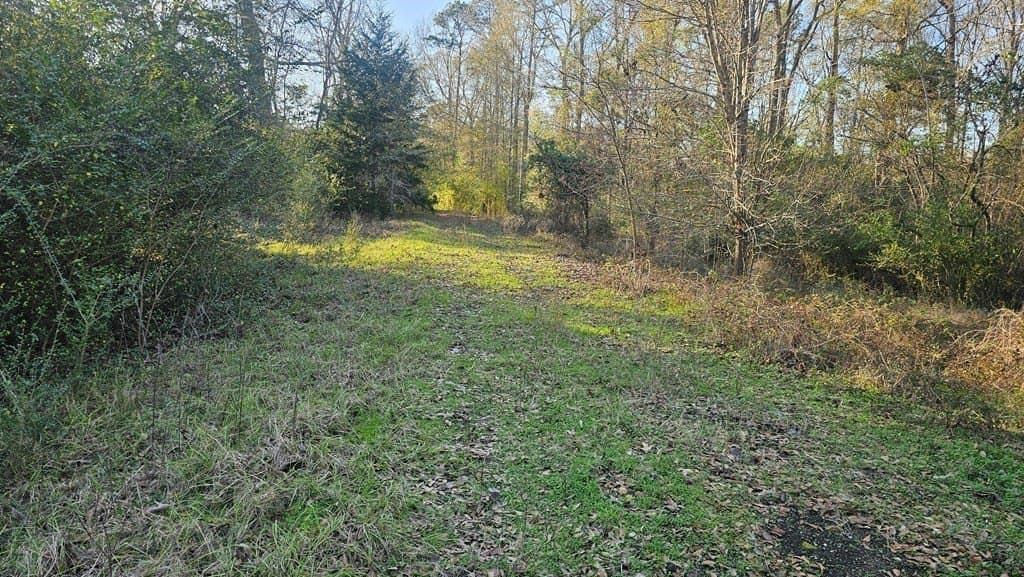 16.39 acres in Texas County - photo 11