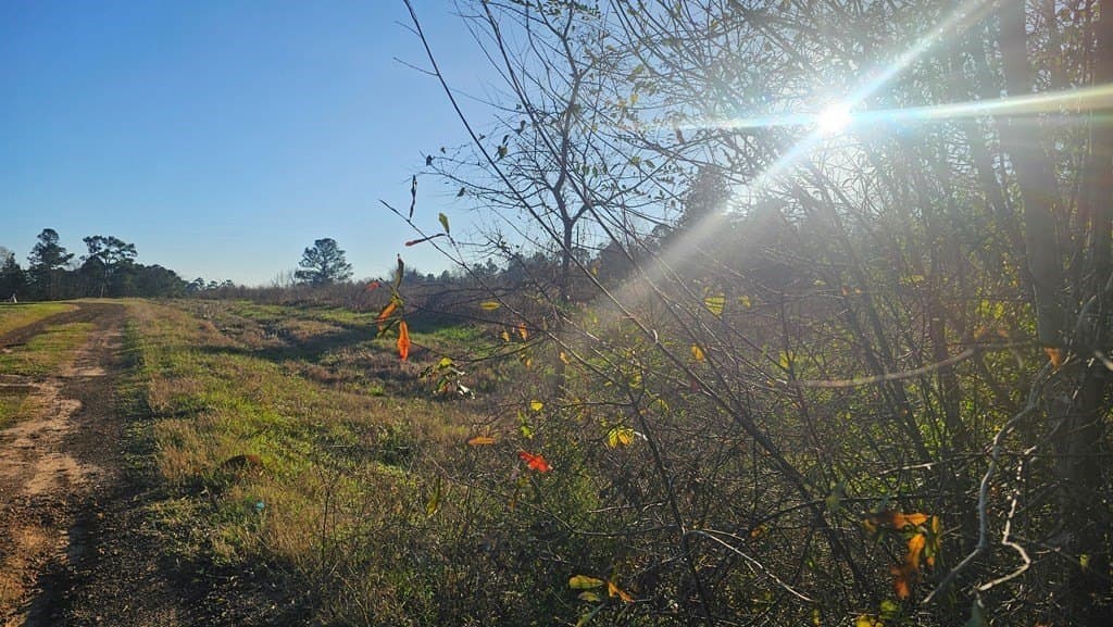 16.39 acres in Texas County - photo 7