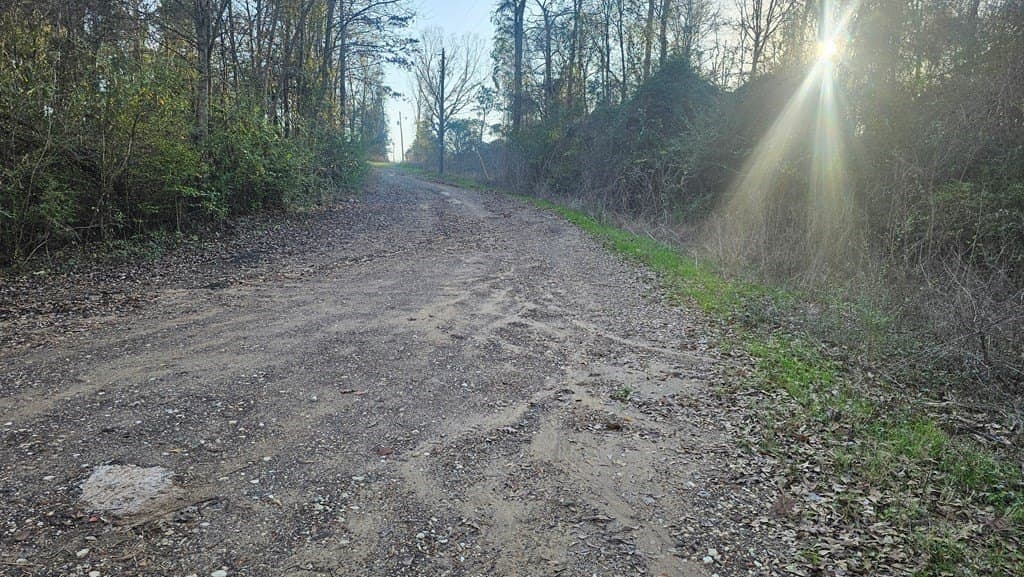 16.39 acres in Texas County - photo 13