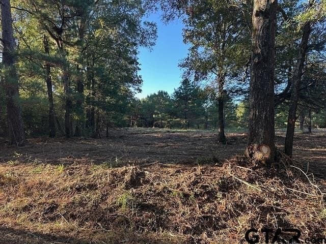 10.8 acres in Panola County