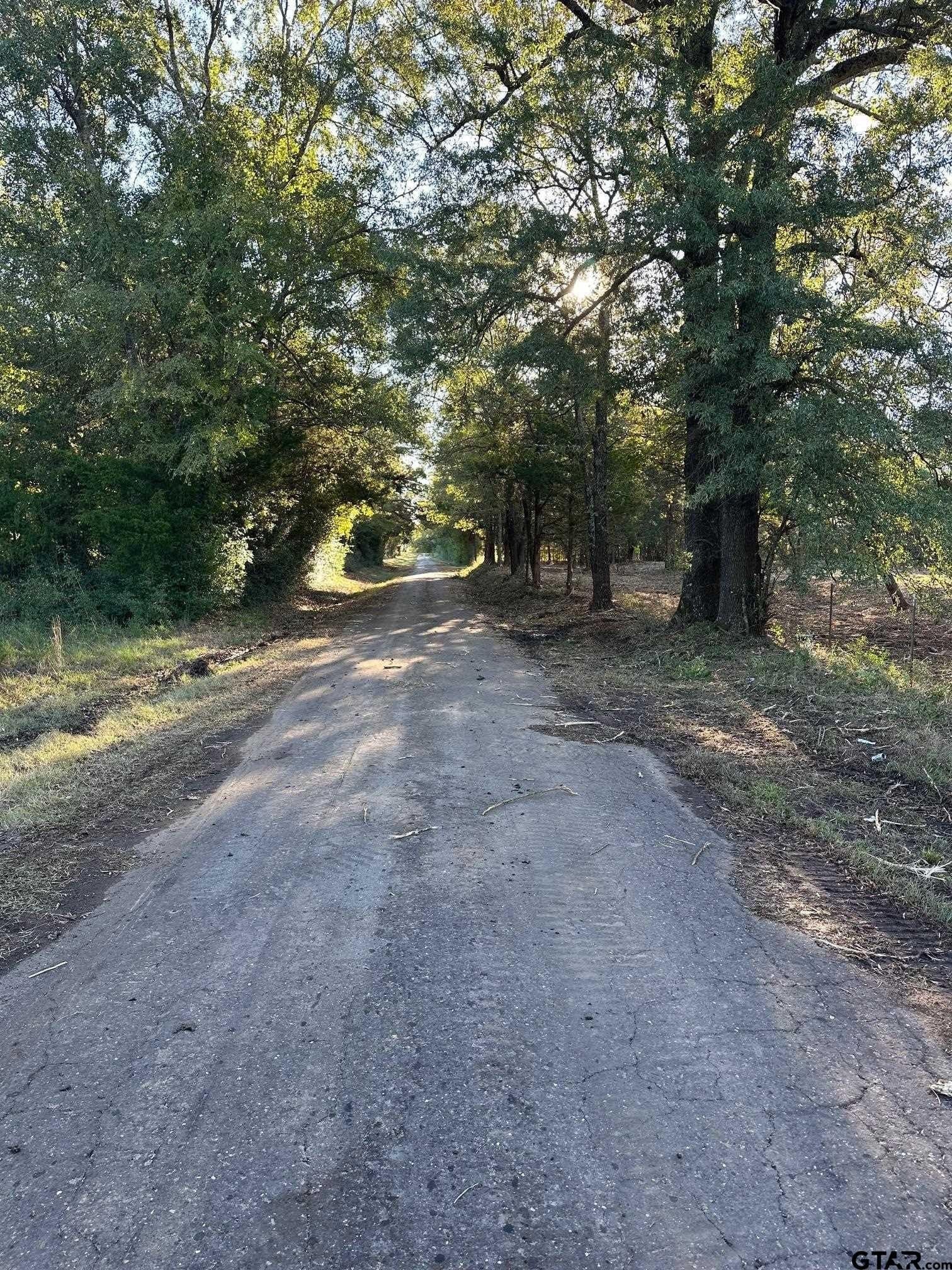 10.8 acres in Panola County featured view